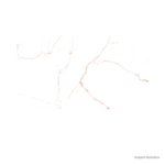 Porcelanato_acetinado_62x121_branco_pigues_dammerefdpr12256_8006230