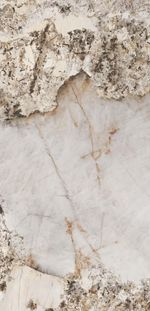 Porc_roca_ret_patagonia_mt_1195x250__7958030