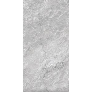 Porcelanato retificado bardiglio sgr polido 58,4x117cm - ceusa