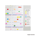 Bloco_de_notas_adesivas_postit_tropical_38x50mm_bloco_com_50_folhas__3m_refhb004402267_7370982
