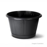 Vaso_cuia_nobre_com_prato_n02_preto_nutriplanref630010407_5787900