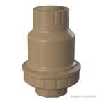 Vlvula_de_reteno_soldavel_50mm__tigre_3869820