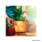 Vaso_redondo_individual_n02_nutricco__nutriplan_5591641