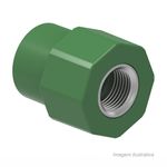 Conector_ppr_fmea_32x34__tigre_2260110