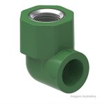 Joelho_ppr_fmea_32x1__tigre_2261960