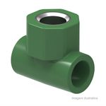 Tee_ppr_central_fmea_32x12__tigre_2261030