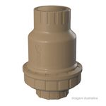 Vlvula_de_reteno_soldavel_25mm__tigre_2291970