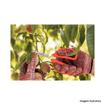 Tesoura_para_frutas__tramontina_ref78311051_7249441