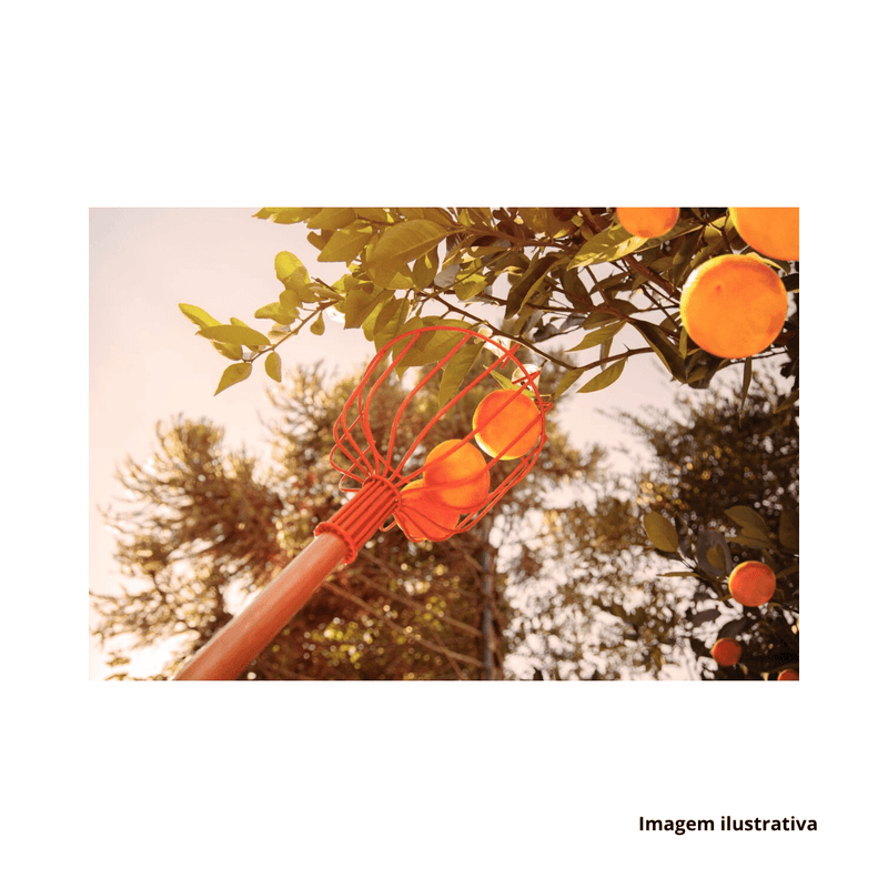 COLHEDOR_DE_FRUTA_METLICO_TAMANHO_20cm__TRAMONTINA_REF77819701_7866811