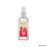 Acqua_eco_perfumante_canela_e_frutas_140ml_premisse_kfline_ref130005140_7831520