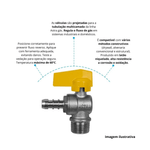 Registro_pgs_90_macho_12_cespigo__astra_refgvlce12_8040401